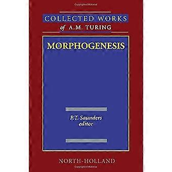 Morphogenesis