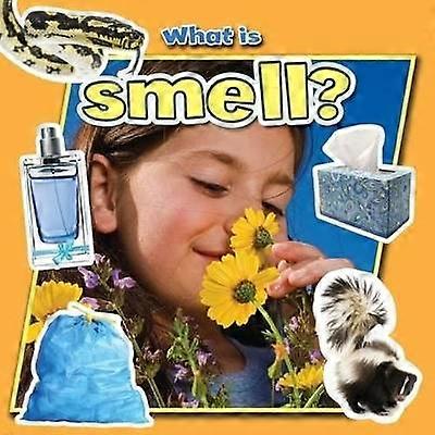 What is Smell?