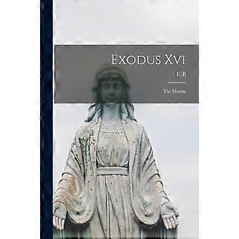 Exodus Xvi Microform The Manna - Creative Media Partners LLC - Paperback - en Book
