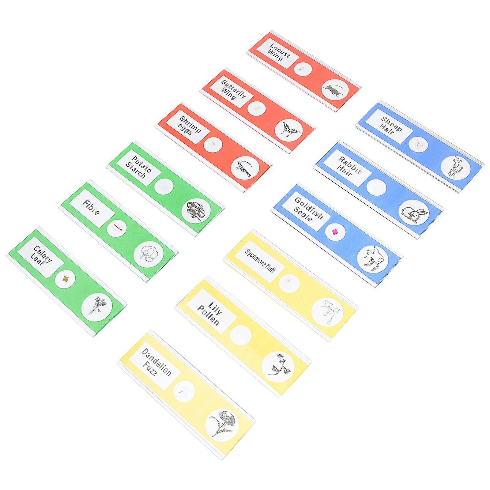 Sample Microscope Slides for Microscope with 36Pcs Prepared Specimens