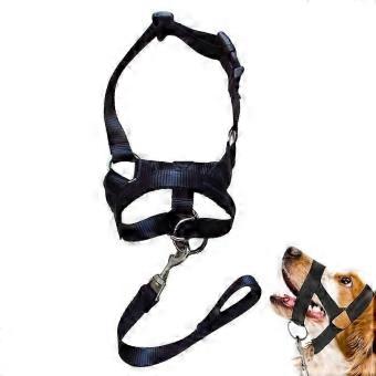 Muzzle Training Harness Dog Halter Pet Muzzle Adjustable Anti-biting Barking Nose Mask Pet Traction Dog Muzzle Training Belt Dog