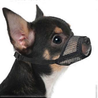 Adjustable Mesh Dog Muzzle for Small/Medium Breeds, Soft Breathable Comfort Fit - Chihuahua, Poodle, Husky