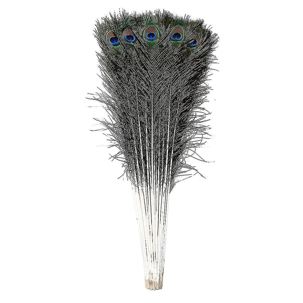 Natural Large Peacock Feathers For Decoration A 100 pcs x L(40-50CM)