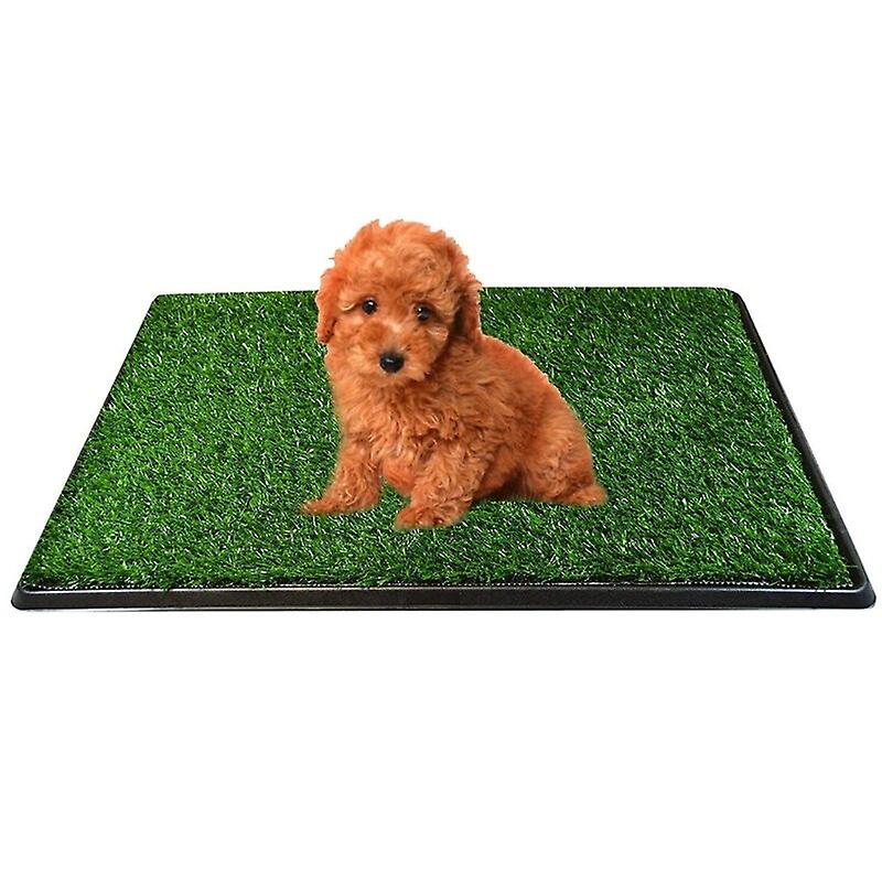 Köpek Eğitimi Çim Çöp Tepsisi Ped Tuvalet Kapalı Köpekler Için Lazımlık Çim Mat Dropshipping
