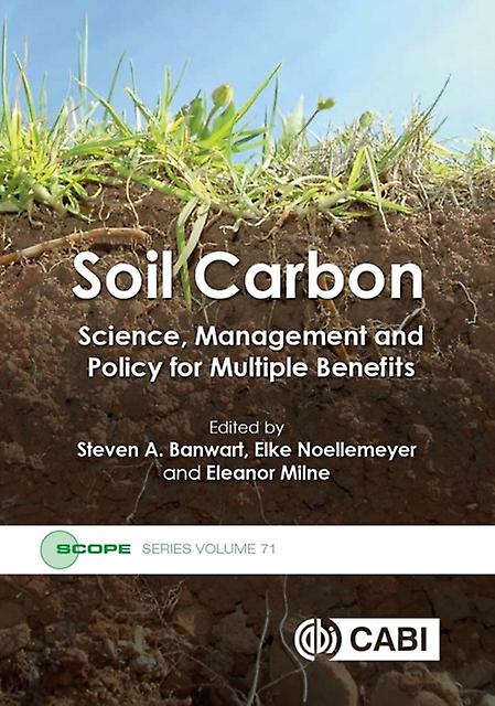 Soil Carbon Paperback Book