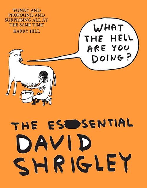 What The Hell Are You Doing The Essential David Shrigley by David Shrigley Paperback