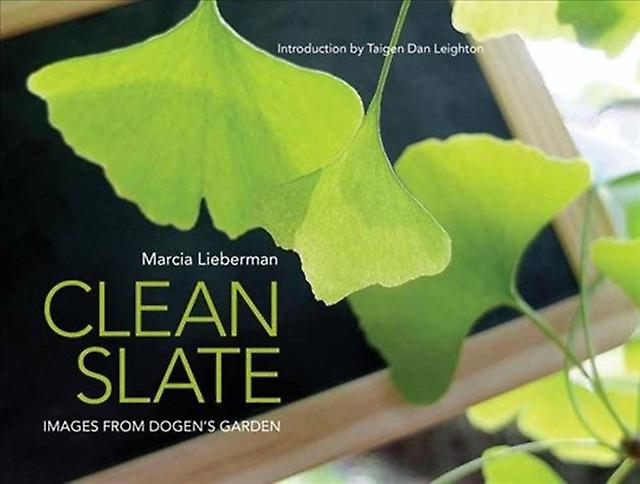 Clean Slate by Marcia Lieberman Paperback Book