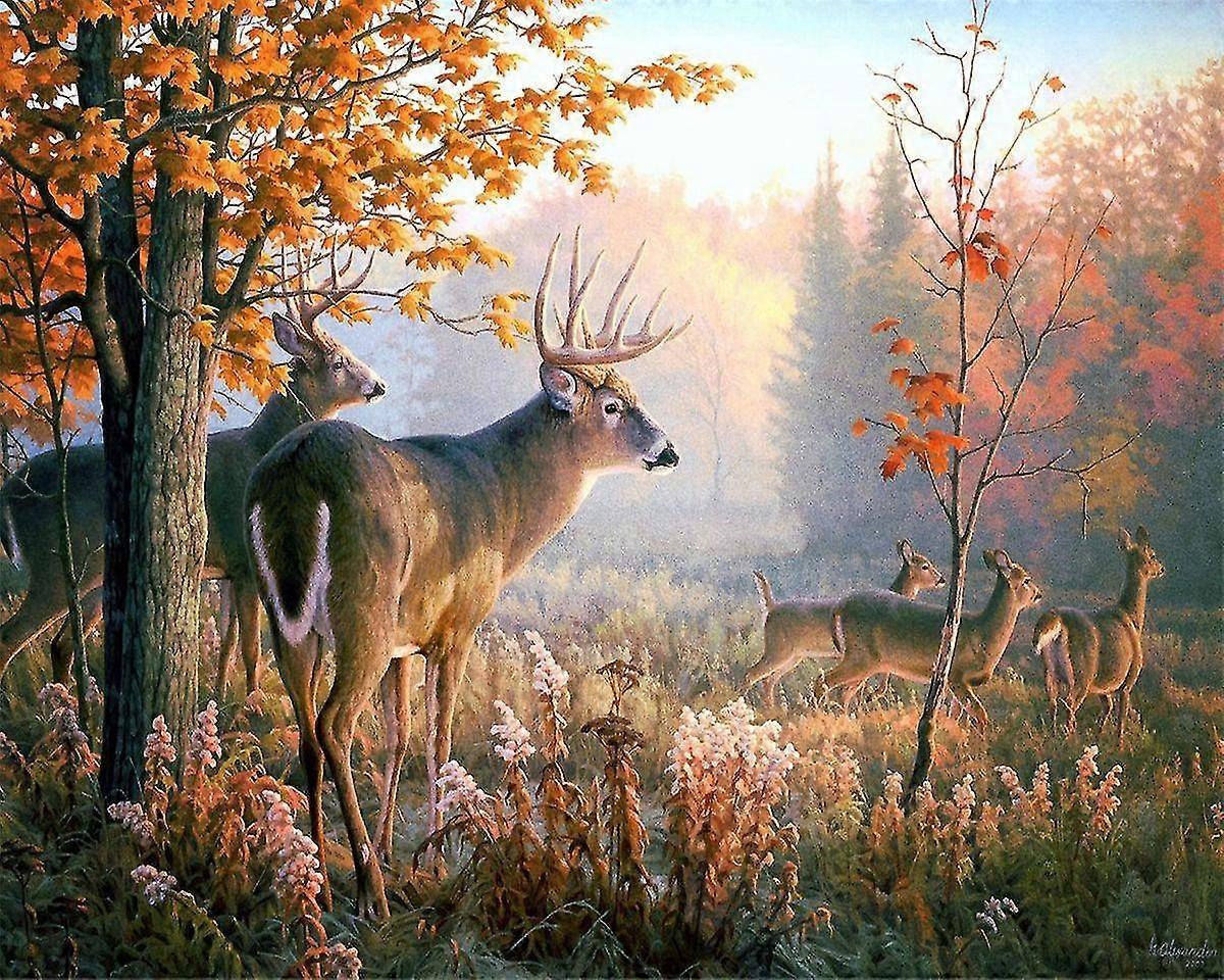 DIY 5d timanttimaalaus numerointisarja Kristalli strassi ja timanttikirjonta maalaus koristemaalaus kodin sisustukseen