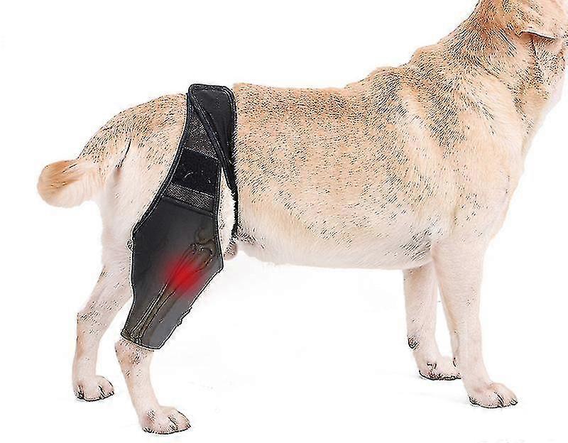 Genouillère pour chiens atteints de LCA, luxation de la rotule, l’arthrite maintient l’articulation au chaud réduit la douleur et l’inflammation