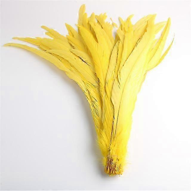 50pcs Penas de cauda de pintinho natural 25 -40cm / 10 -16 polegadas Decoração de roupas Palco Performance Galo