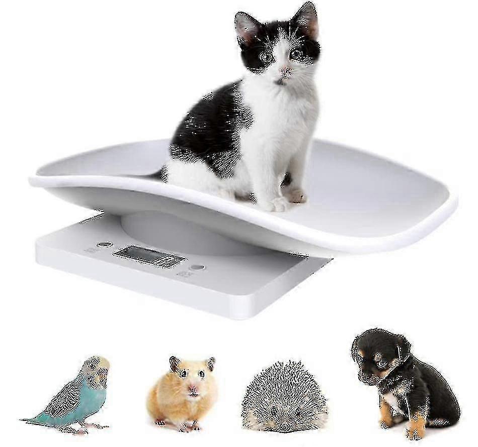 Digital Kitchen & Pet Scale with LCD Display, 10kg/22lb Food Weight Measurement