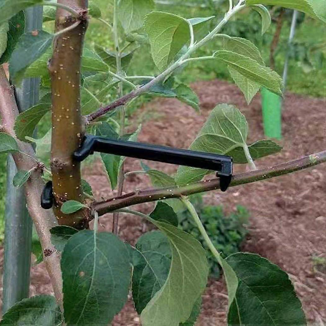 Promotes light penetration and air circulation with fruit branch spreaders, 20 pieces.