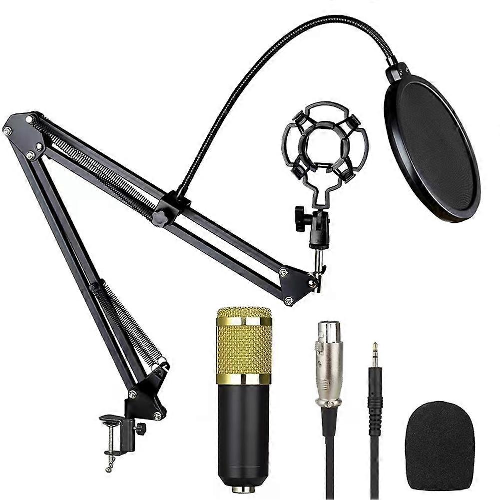 Professional Studio Live Streaming Broadcasting Recording Condenser Microphone Stand Pop Filter Kit