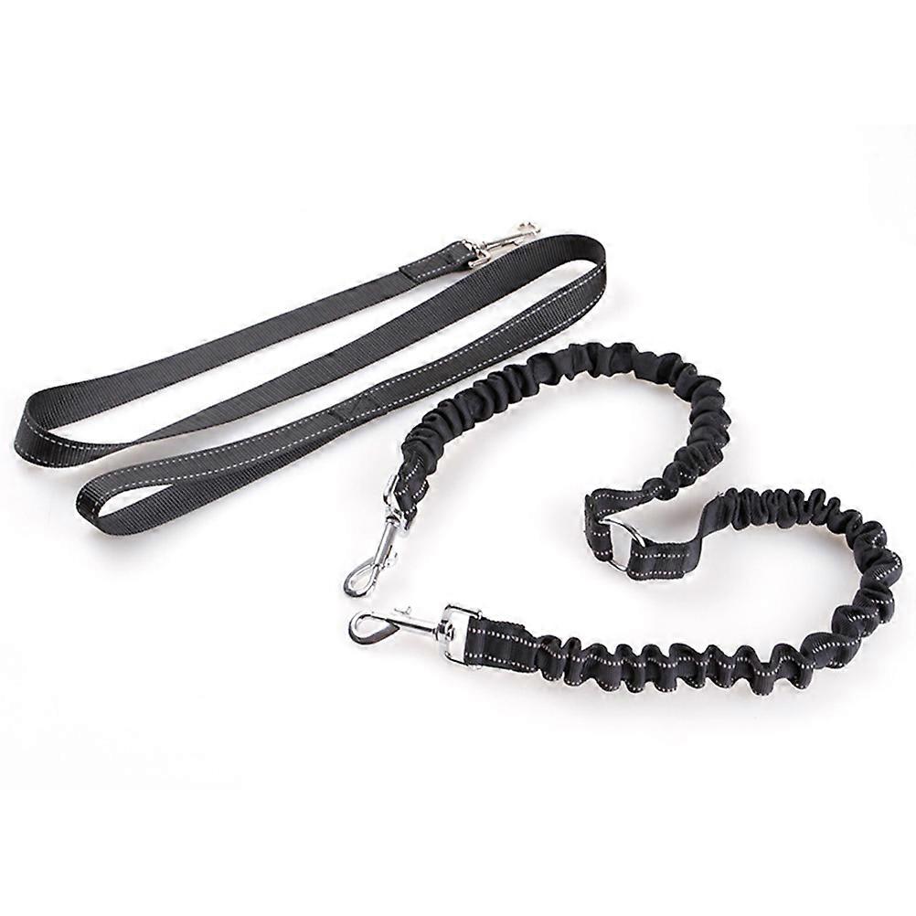 Heavy Duty Nylon Double Ended Dog Leash for Small to Medium Breeds – Durable Walking Lead for Daily Use, Jogging & Hiking