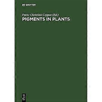 Pigmenti nelle piante