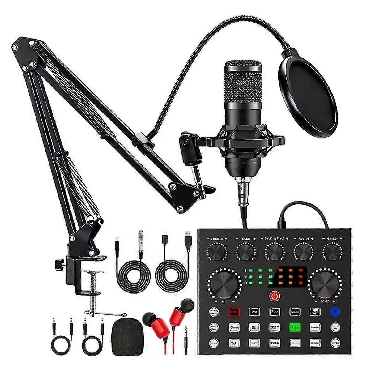 BM800 V8s Vocal Condenser Mic Bundle