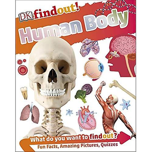 Human Body (DKfindout!)