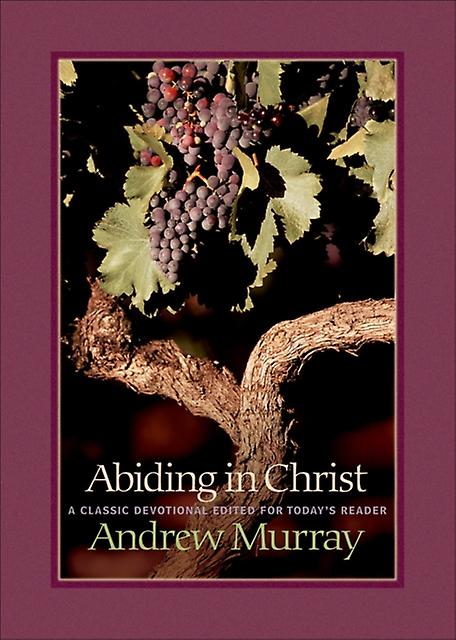Abiding In Christ by Andrew Murray Paperback Book