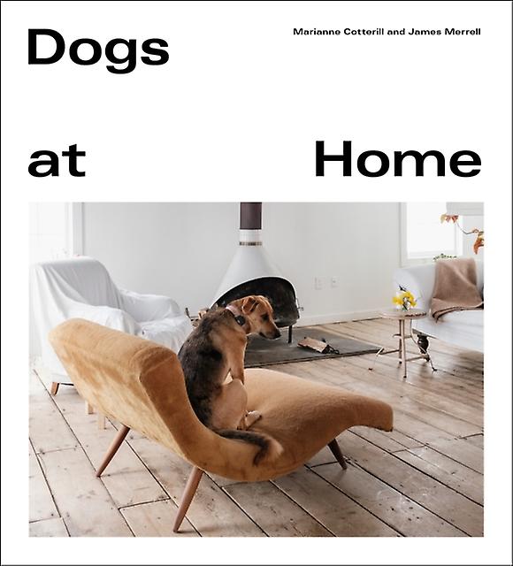 Dogs At Home - James Merrell - Photography and photographs - Ebury Publishing - Hardback