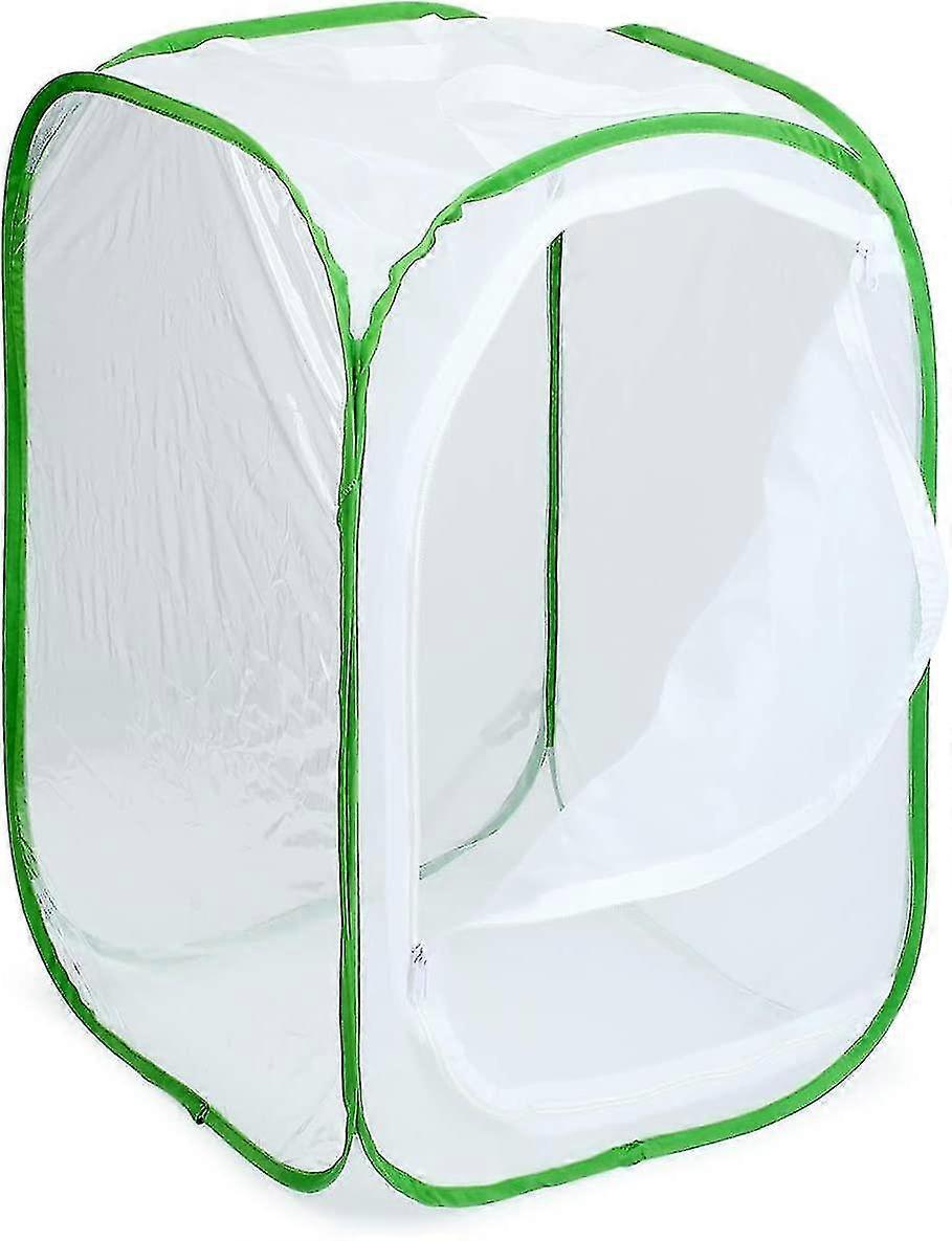 Butterfly Habitat Insect Cage Caterpillar Enclosure Pop-up Polyester Bottom (d-583-a)
