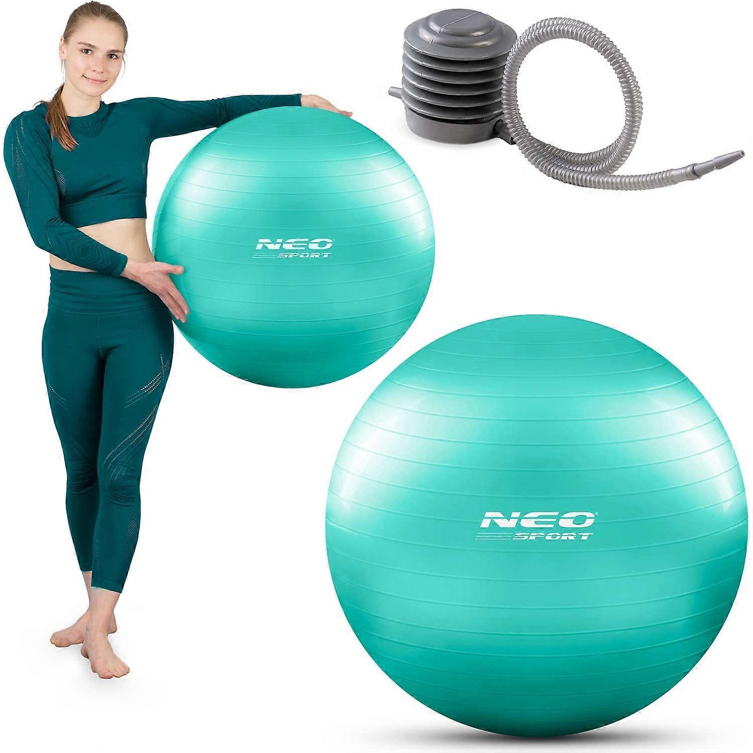 Pelota de ejercicio 65 cm NS-951 turquesa