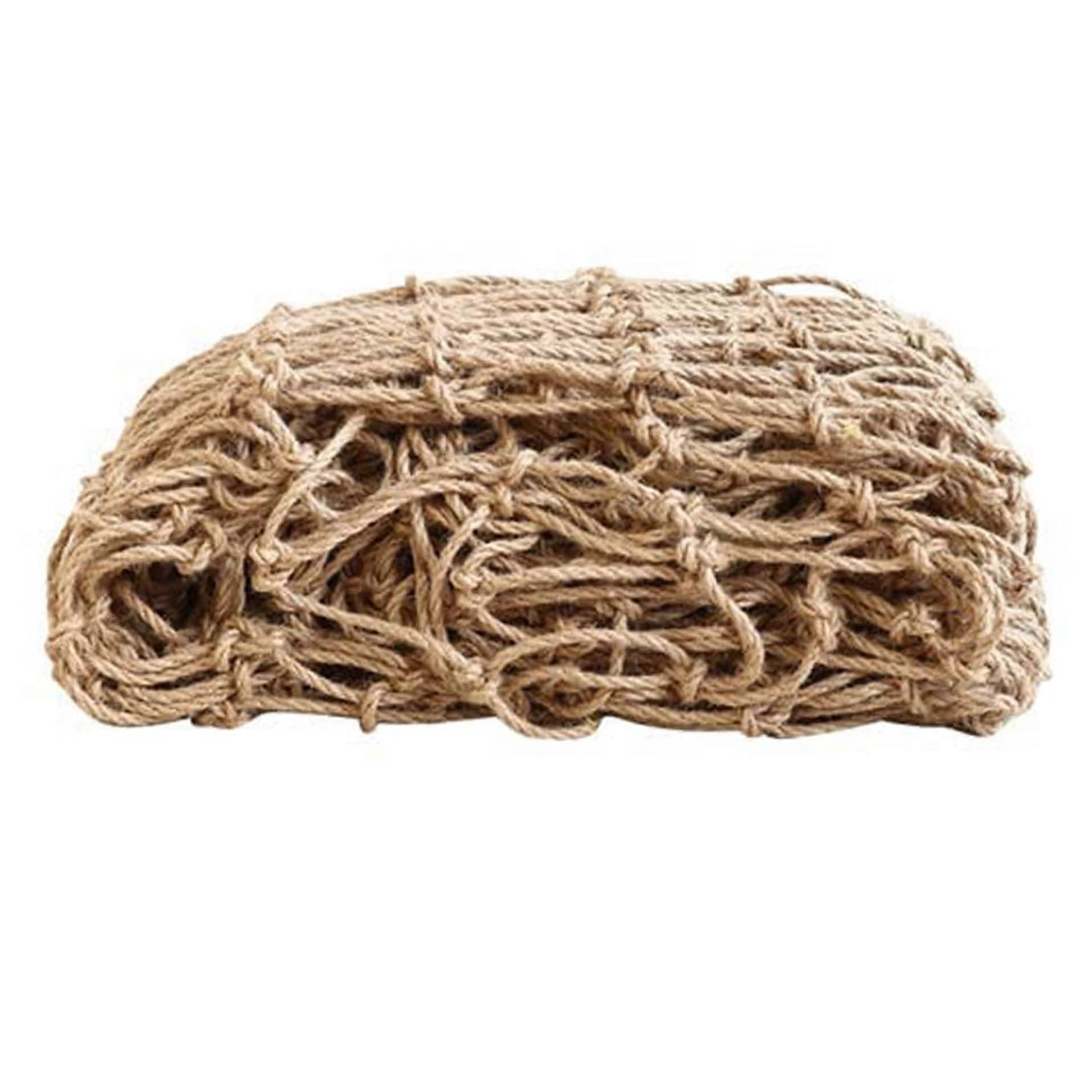 999021 Carbon Brush For Hitachi G10 12SR2 GP2 P20SB CE16SA CN16SA D10YB Replacement Part 4 Pair 1 Pack