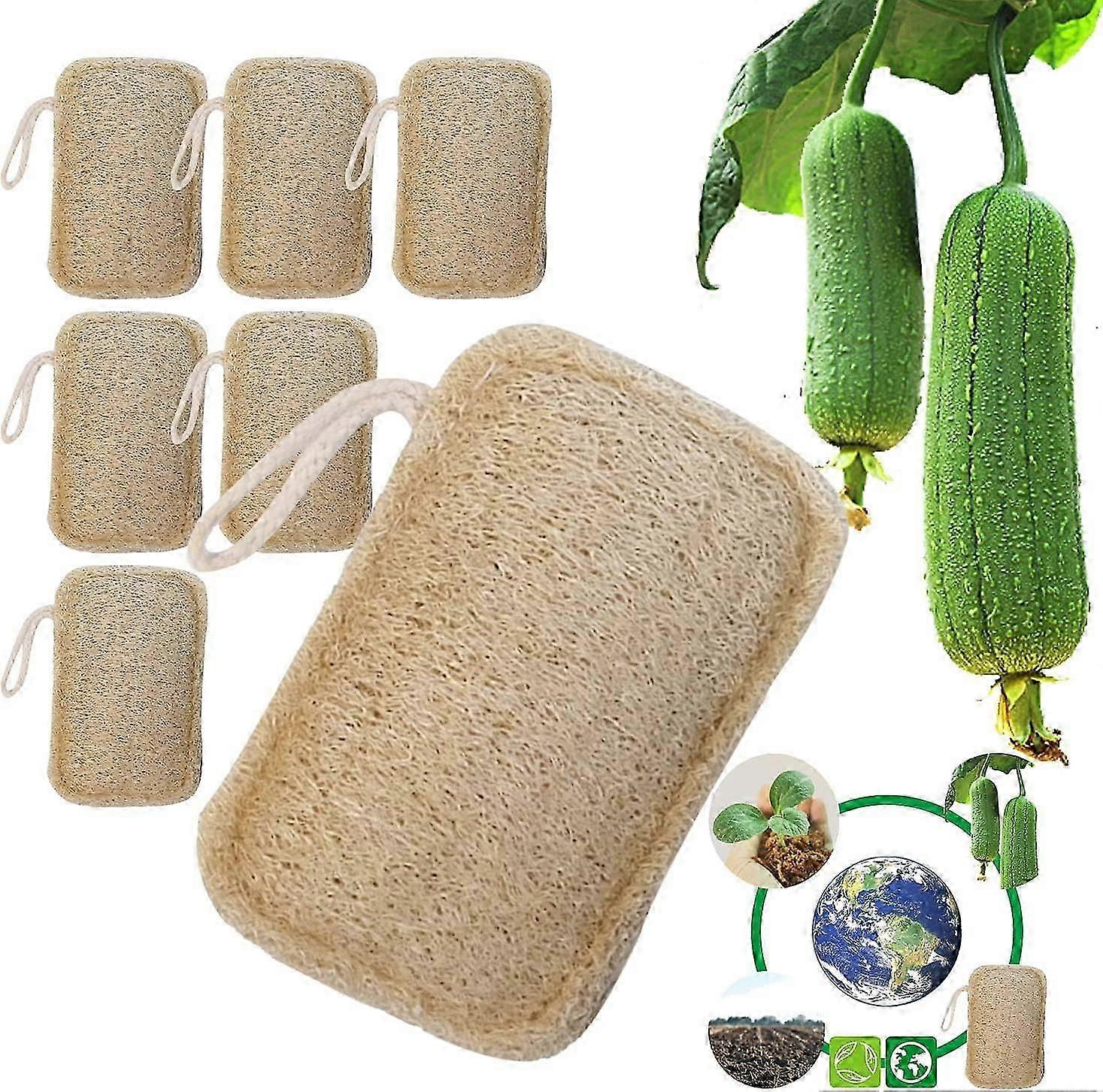 6 kpl orgaaninen Loofah-sieni 100 % orgaaninen biohajoava ja kompostoituva, luonnollinen ympäristönsuojelu, keittiö, kylpyhuone, retkeily-yvan