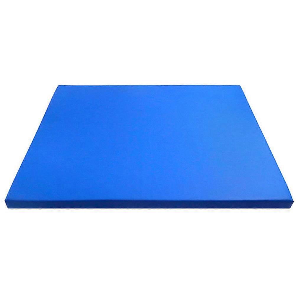 It looks like you're referring to a product description for a **Sole Mat Sponge Entrance Mat** – a small, washable mat designed for indoor use at