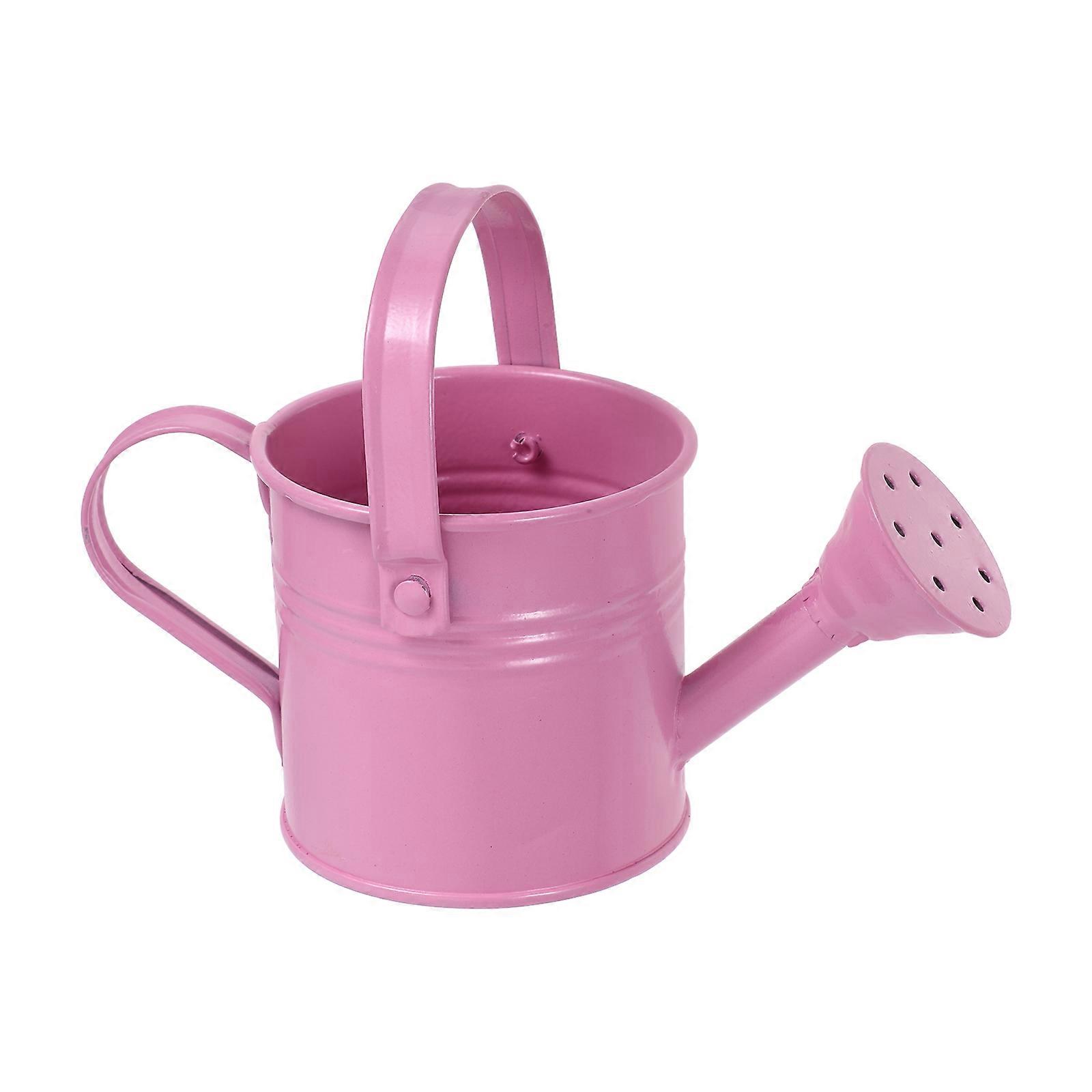 Compact Metal Watering Can for Indoor Plants – Decorative Garden Sprinkling Pot for Plant Lovers, Portable