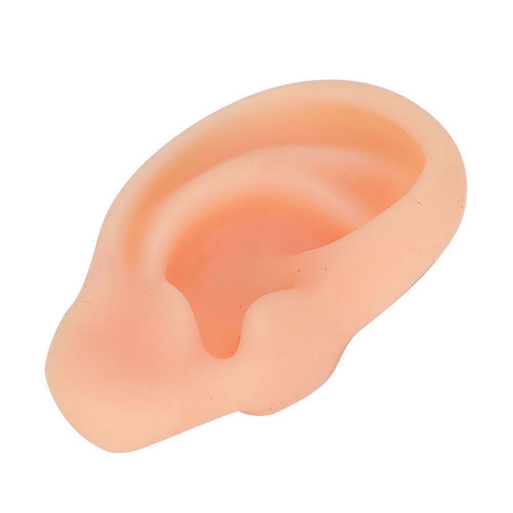 Professional Simulated Ear Model Acupuncture Practice Massage Teaching ToolRight