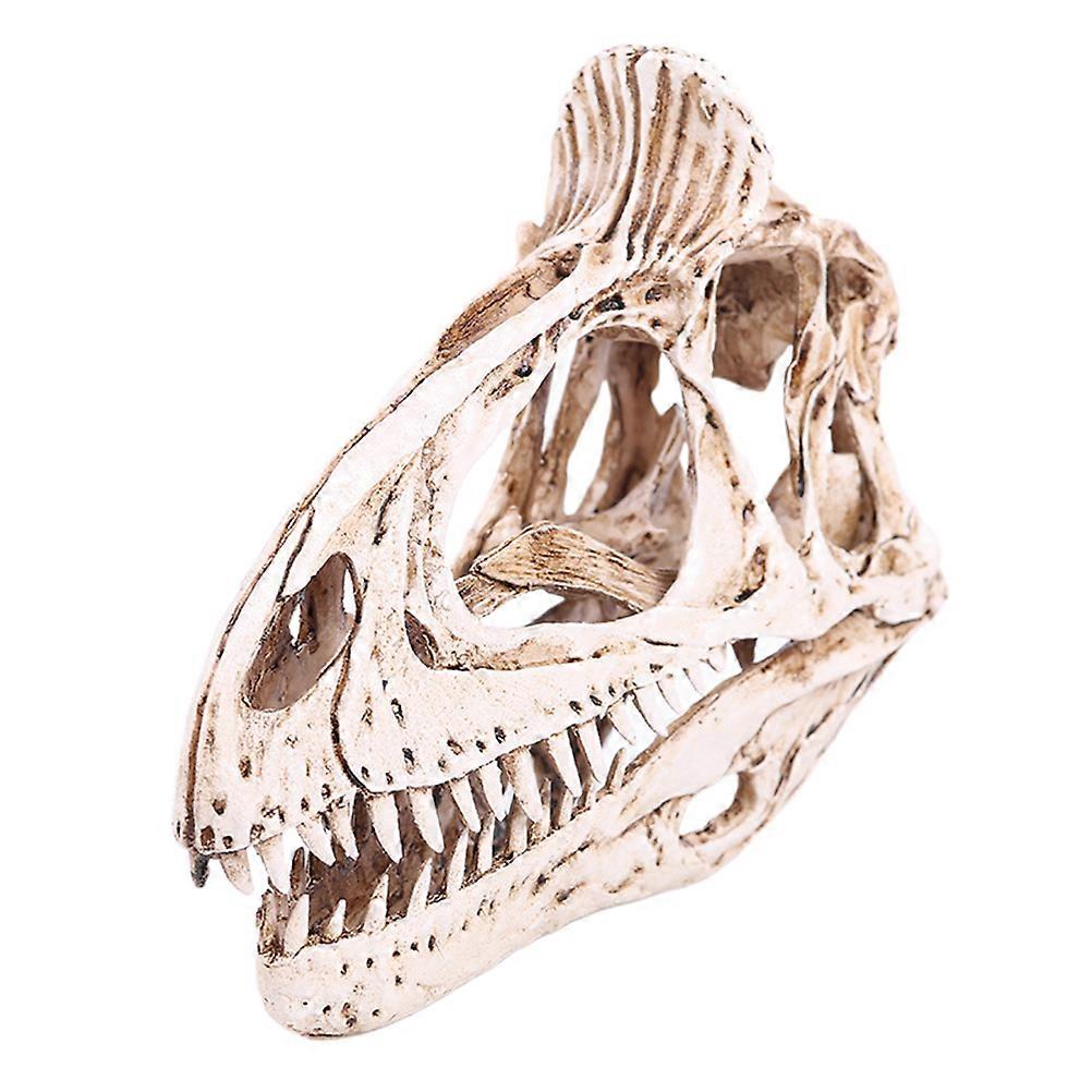Dinosaur Skull Ornament, Realistic for Kitchen Decor, Retro Atmosphere Creator