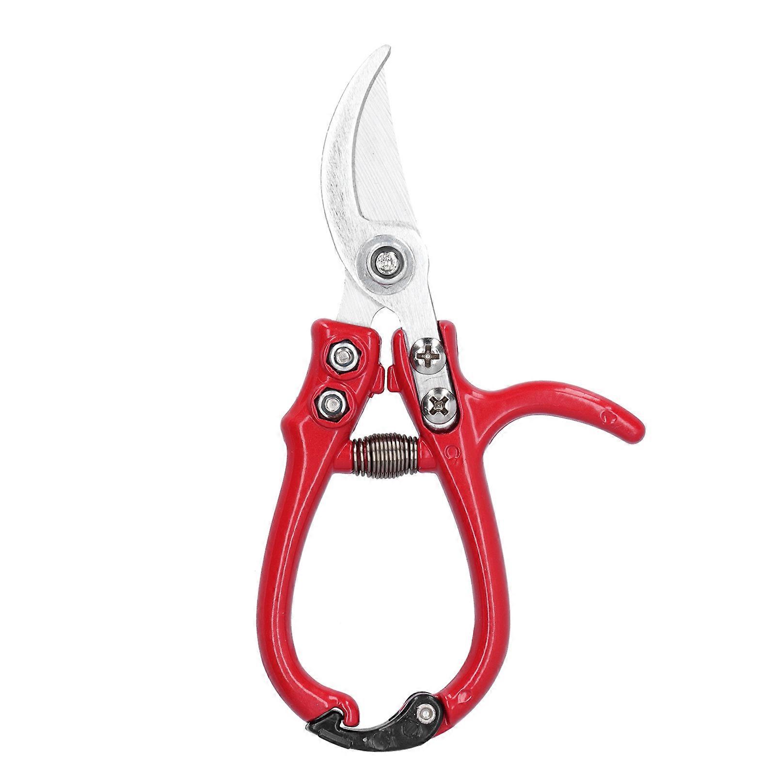 Scissors Non Slip Handle Fruit Picking Shears for Pruning Flower Branches and Gardening Pruning