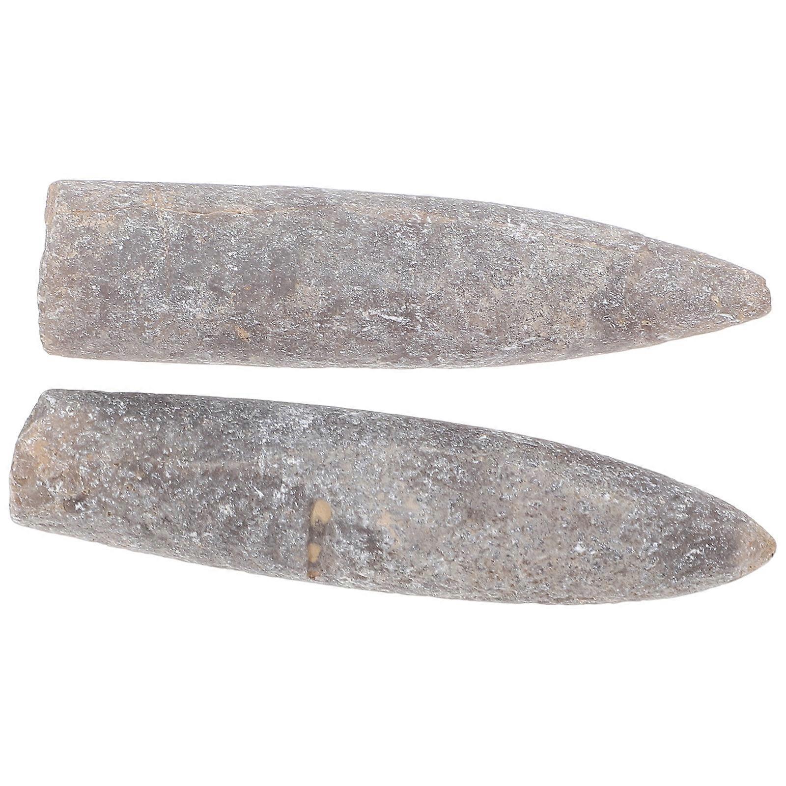 Belemnite Educational Tool for Classroom Settings and Collectors Durable Material 2Pcs