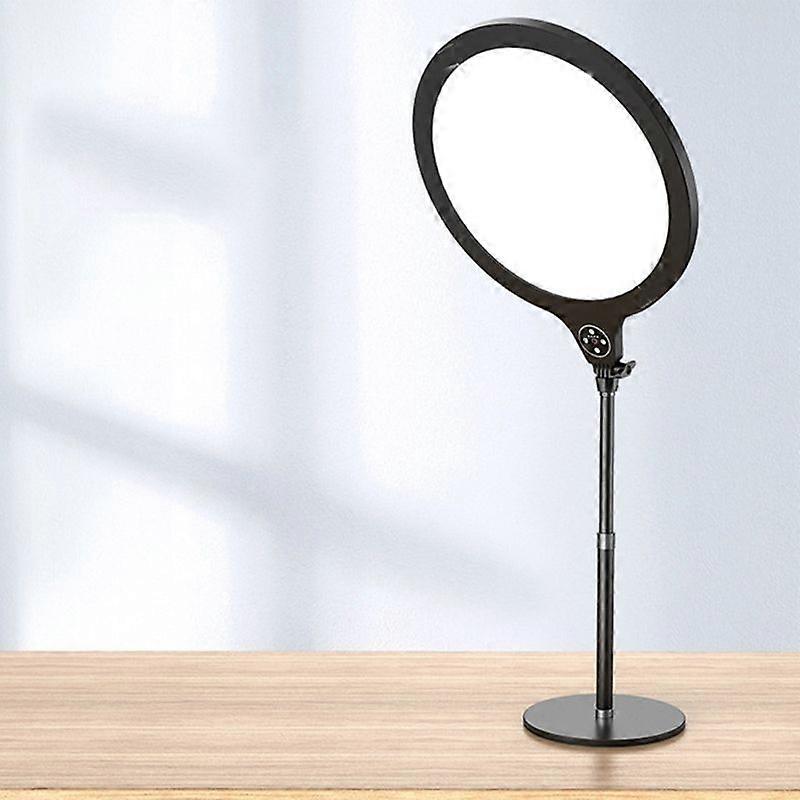 Fill Light Bracket Large Version