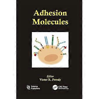 Adhäsionsmoleküle