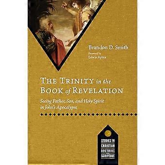 De Drie-eenheid in het boek Openbaring: Vader, Zoon en Heilige Geest zien in de Apocalyps van Johannes (Studies in de Christelijke Leer en Schrift)