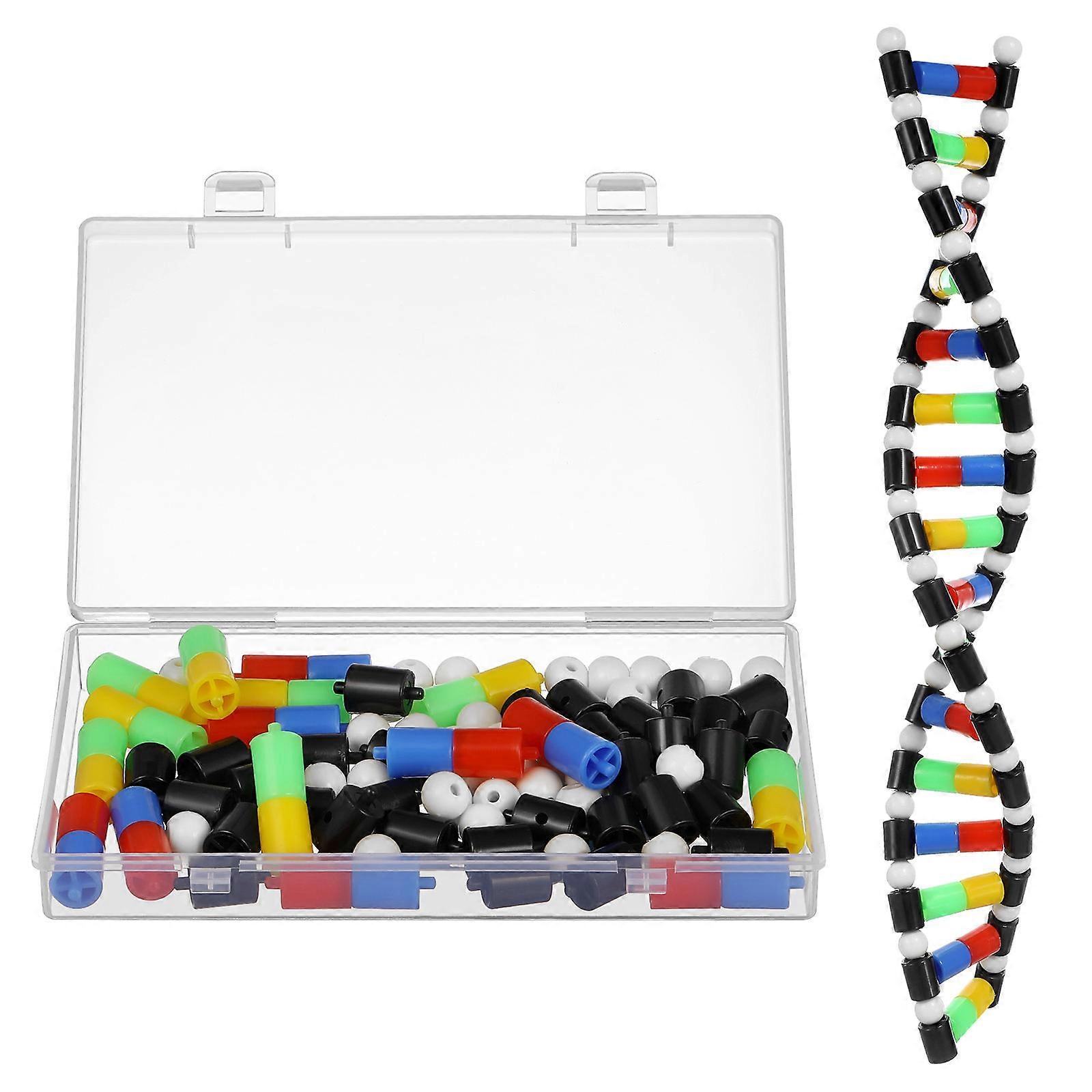 Double Helix Dna Model for Science Teaching 4Pcs Molecular Kit