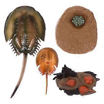 1 Set  Mini Simulation Ocean Creature Models Children Craft Plaything Toys