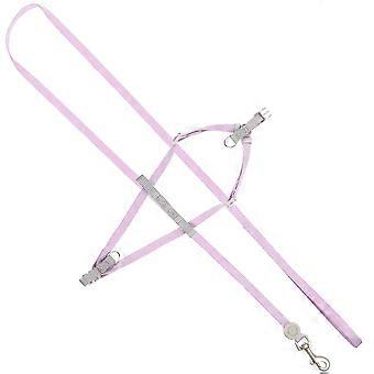 Cat Harness and Leash Set for Outdoor Walking, Violet, 1 Set