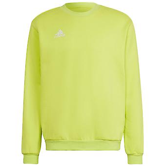 Adidas Entrada 22 HC5049 piłka nożna całoroczny mężczyźni