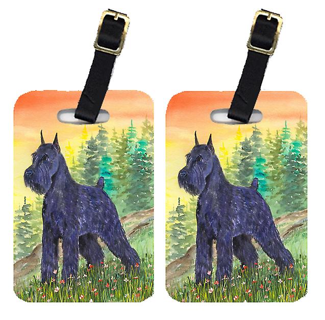 Carolines Treasures SS1051BT Pair of 2 
