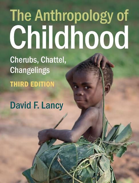 The Anthropology Of Childhood by David F. Utah State University Lancy Paperback