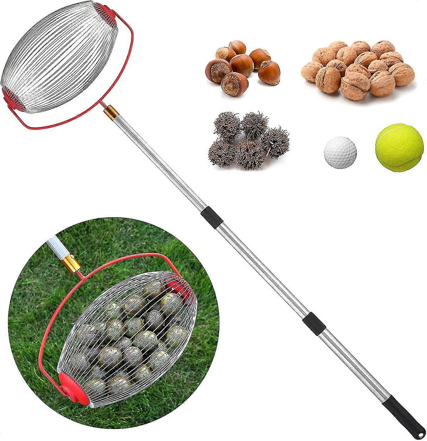 Large Nut Gatherer, Nut Picker Rolling Acorn Picker Upper,adjustable Lightweight Outdoor Manual Tools ,collect Walnuts,acorns,hickory Nuts ,golf With