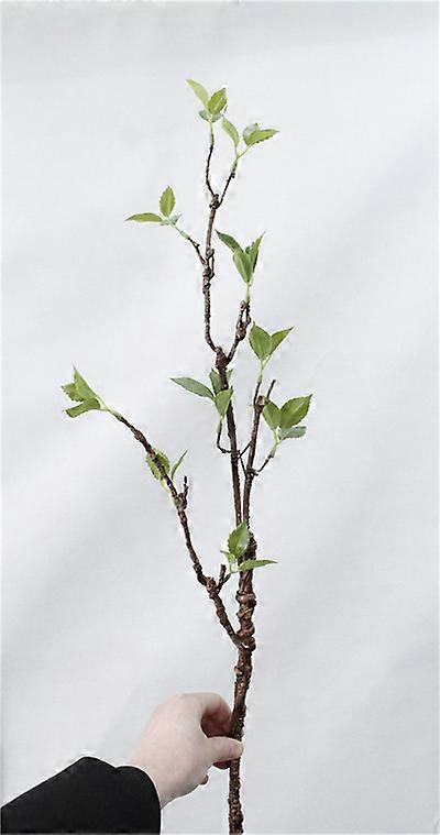 Artificial soft foam branch green leaf simulation green plant soft foam vine arbitrary curved shape wedding decoration home