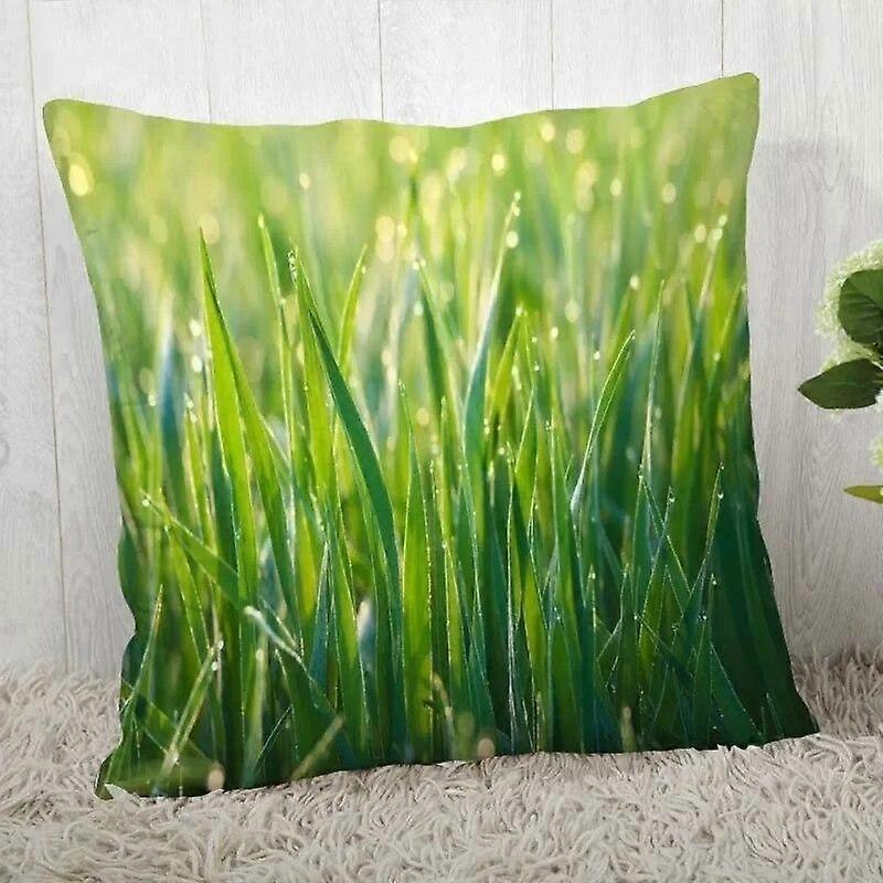 Print Pillowcase Sofa Cushion Cover Design Style -307