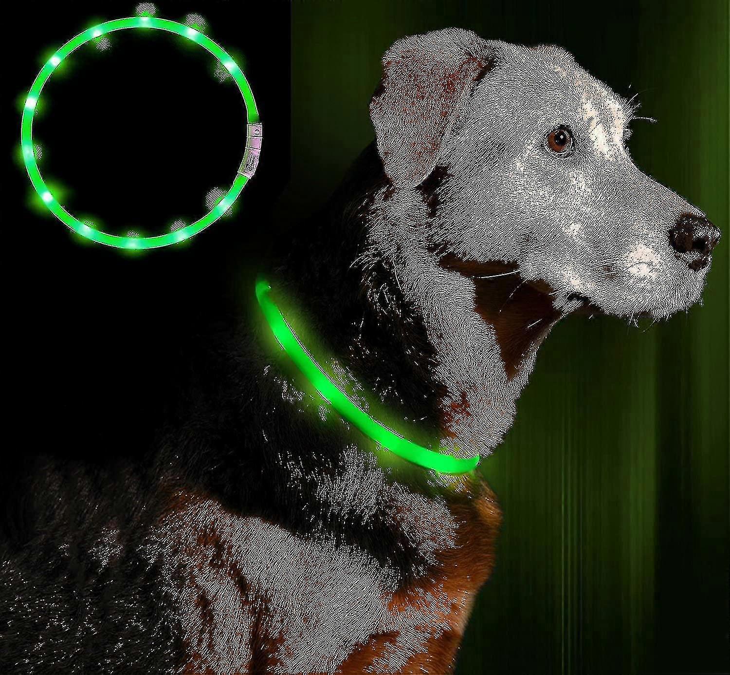 Led Light Collar Dog Collar Usb Rechargeable - Adjustable Length Pet Safety Collar Compatible W