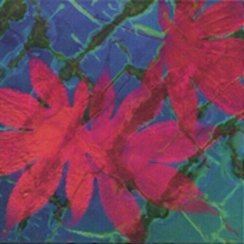 35th Parallel Green Vine CD