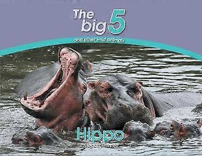 Hippo The Big 5 and other wild animals