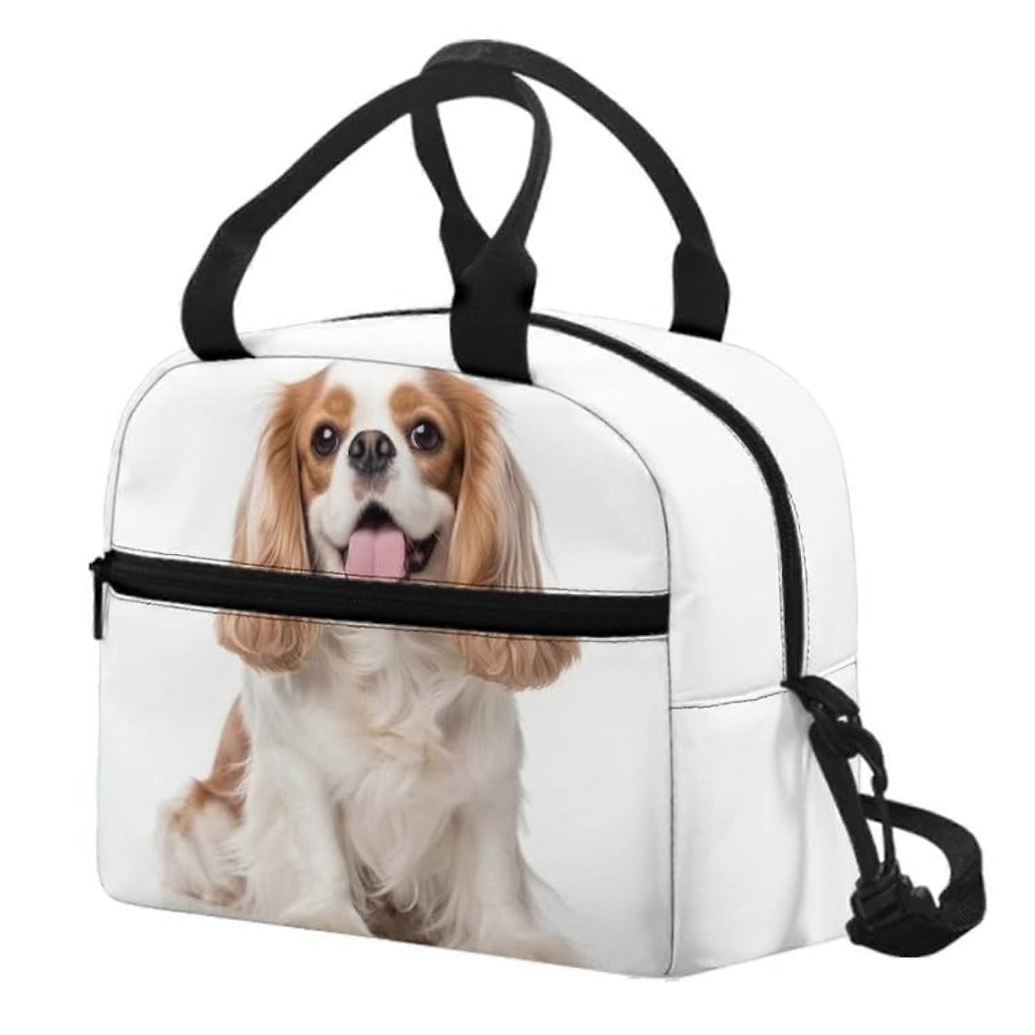 Insulated Cute Reusable Lunch Bag for School Picnic
