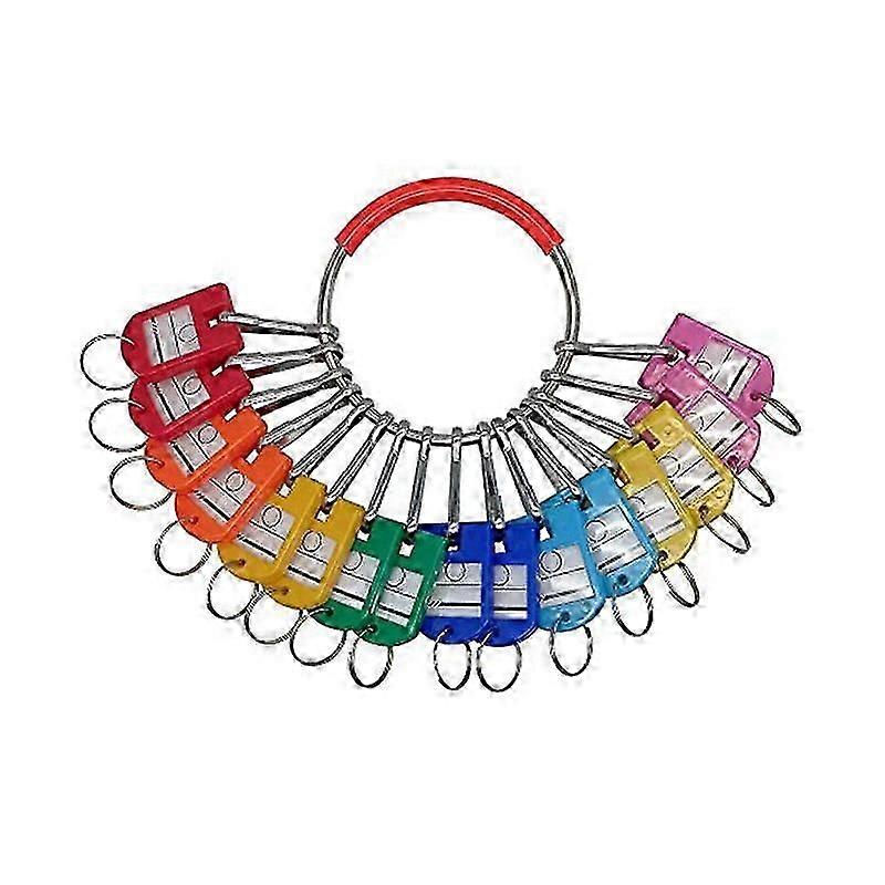 Portable Metal Ring Key Organizer with 16 Spring Hooks & Key Tags with Ring and Label Window Yalo